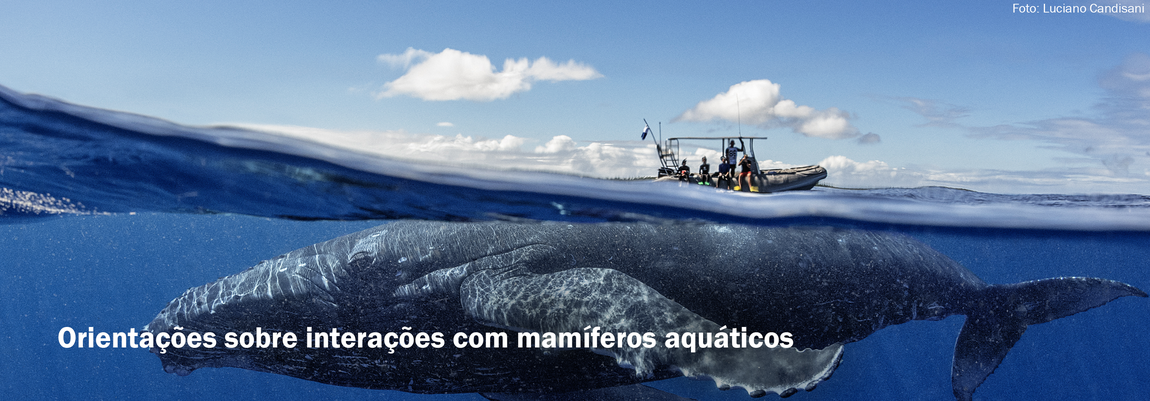 interacao