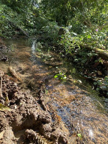 Nascente do Rio Pardo