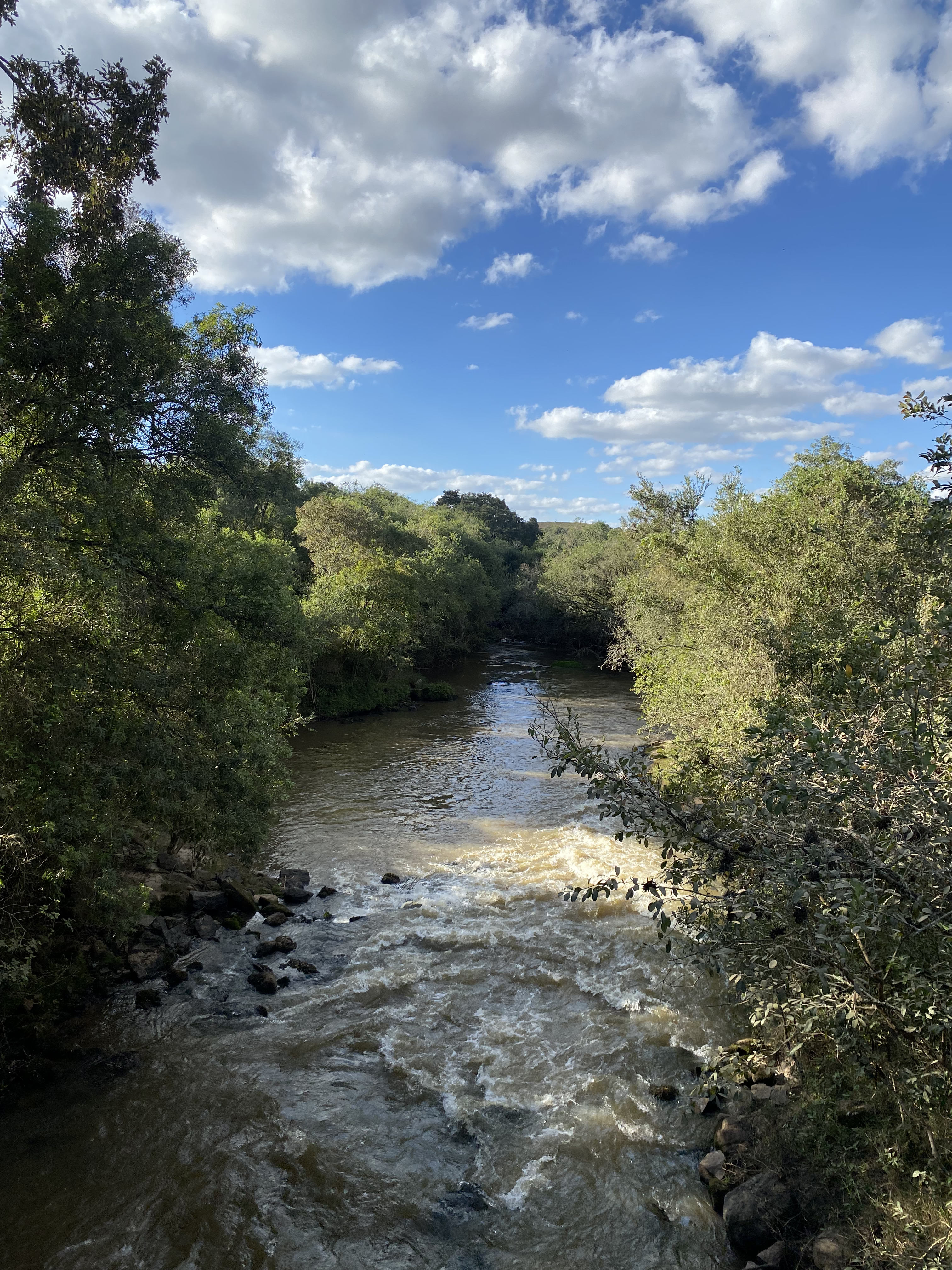 Trecho do Rio Pardo após a mancha urbana de Ipuiúna (MG).