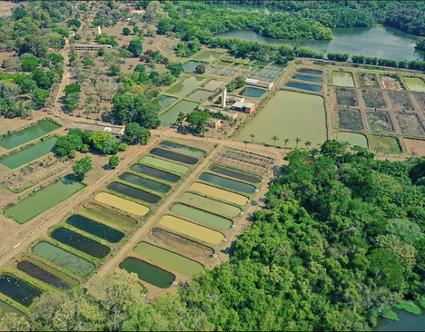 Vista aérea da Sede do CEPTA/ICMBio