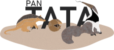 PAN TATA