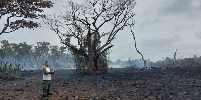 Expedição em áreas degradadas por incêndios no Pantanal.