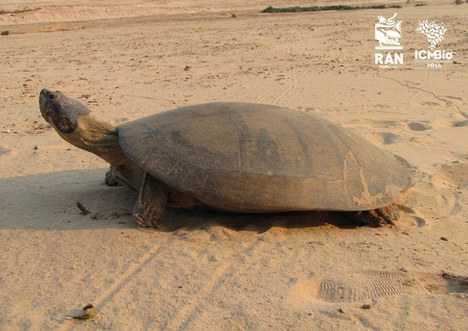 Cópia de modelolivro (59.4 x 42 cm) (5).jpg