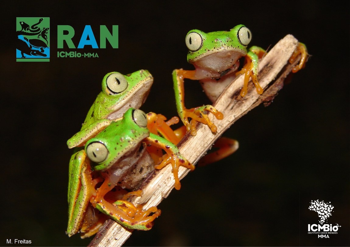 Confira nossas ações