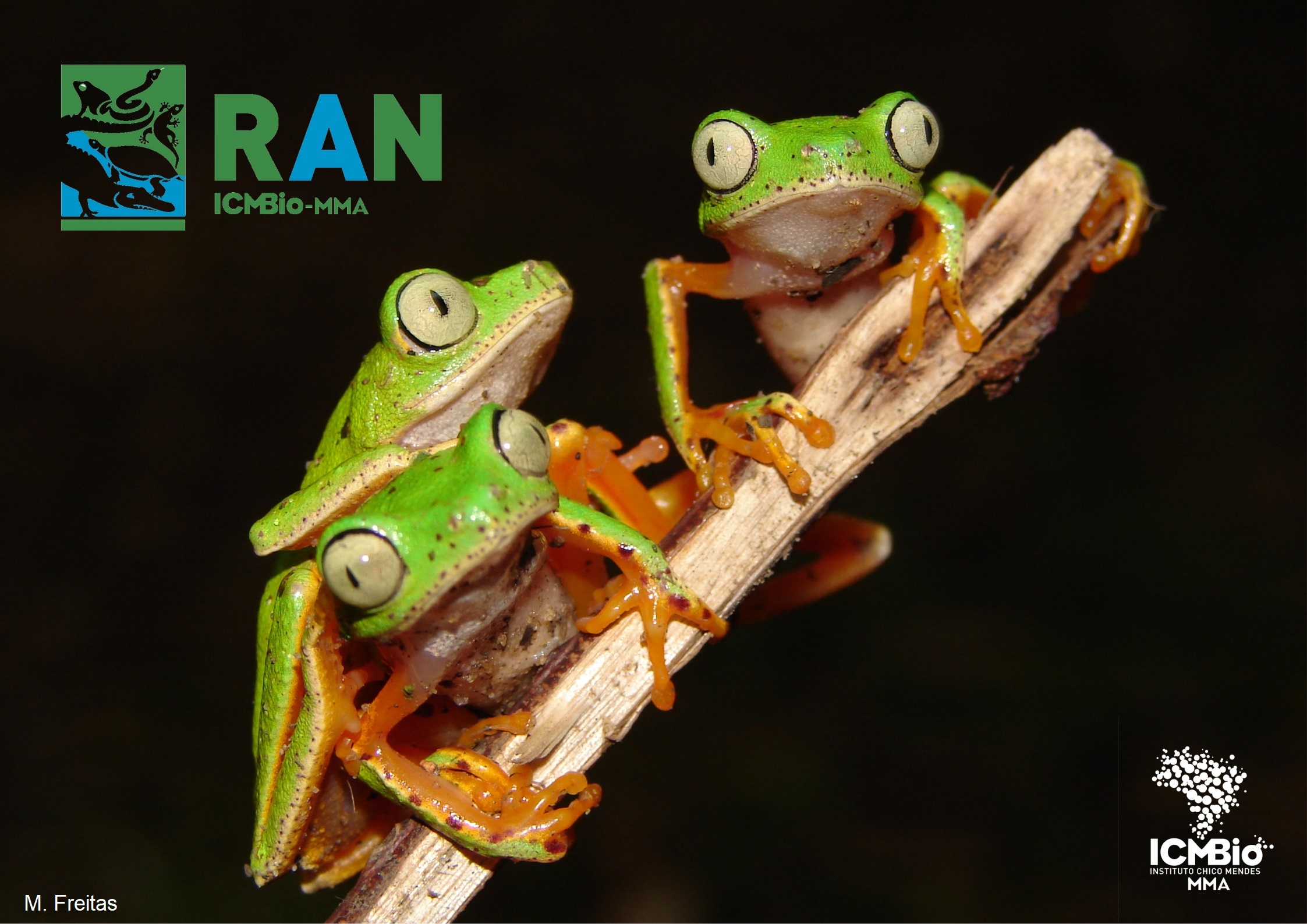 Confira nossas ações