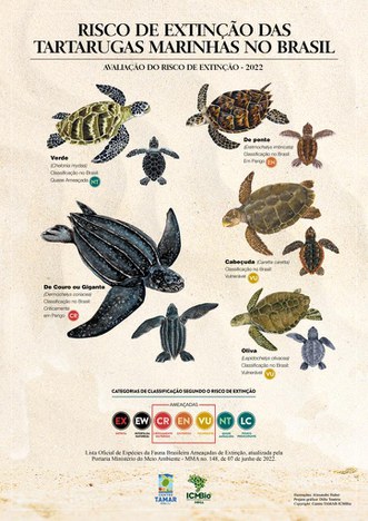 Status de conservação das 5 espécies de tartarugas marinhas no Brasil