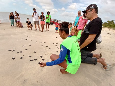 Analista ambiental Marcello Lourenço em ação de andada de filhotes de tartarugas marinhas de volta ao mar em Caravelas-BA.