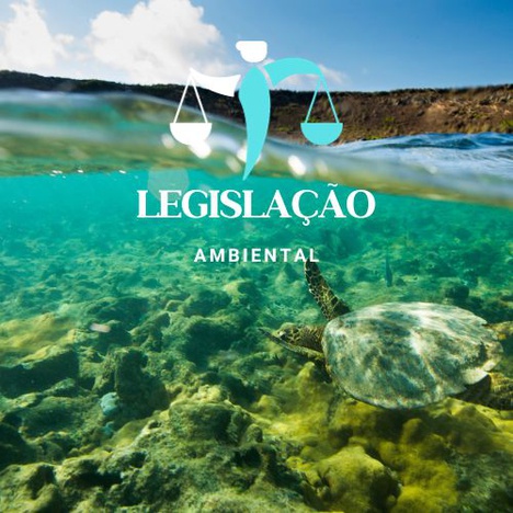 Arte Legislação