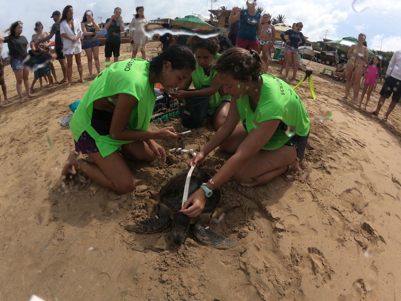 Voluntários na Base de Fernando de Noronha-PE