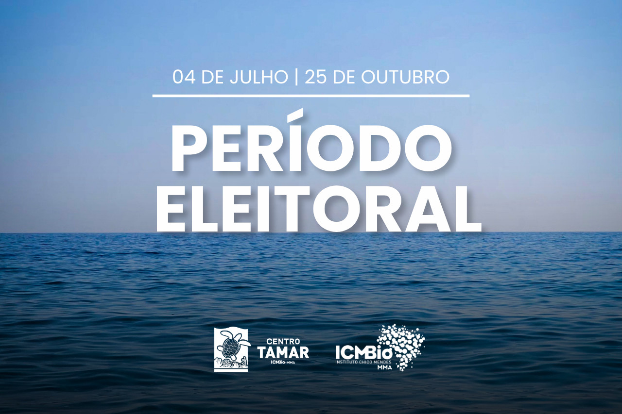 Período Eleitoral