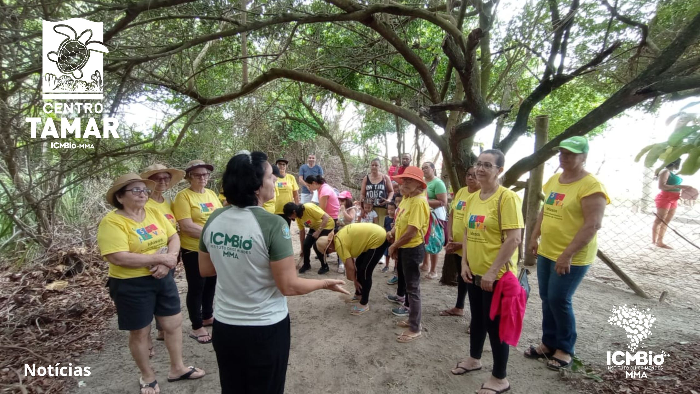 Semana do Meio Ambiente
