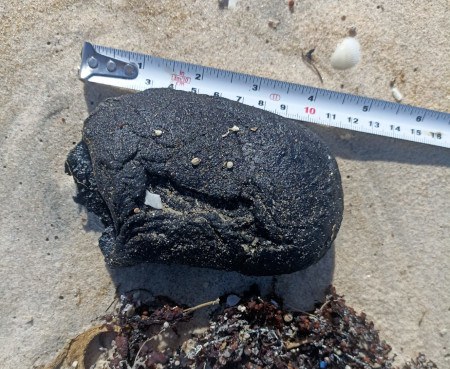 Fragmento de óleo encontrado em Itaúnas, em Conceição da Barra/ES, e Guriri, em São Mateus/ES.