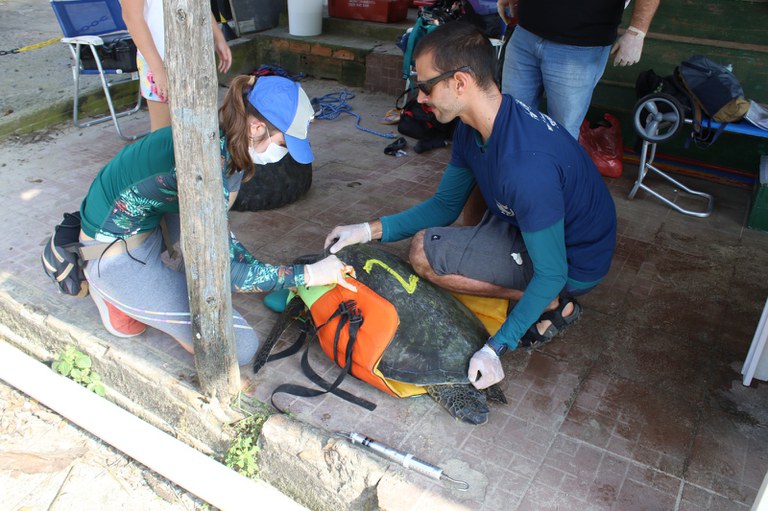 João Camargo em ação de monitoramento - ONG Projeto Tartarugas da Babitonga/SC.