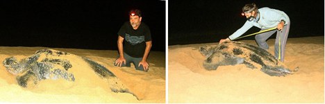 Analista ambiental Marcello Lourenço e técnico em campo.