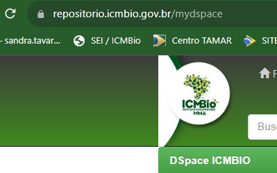 Tela do D-Space - ferramenta usada para estruturação da Repositório Digital do ICMBio