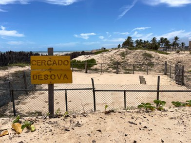 Cercado de ninho de tartaruga marinha na Rebio Santa Izabel-SE.