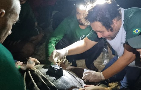 Equipe (ao centro Eik Santos do Centro TAMAR/ICMBio em SE) durante o procedimento para contenção e fixação do transmissor.