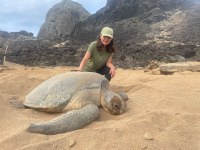 Legado de Cecília Baptistotte no Tamar