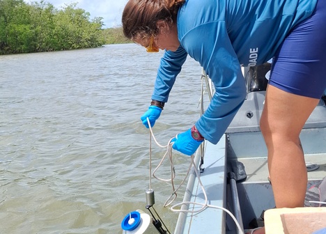 Foi utilizado o método DNA Ambiental metabarcoding - parte do projeto Genômica da Biodiversidade Brasileira – GBB.