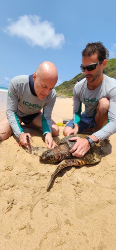 Denis Sana e João Camargo durante marcação de juvenil de tartaruga-de-pente (Eretmochelys imbricata) em Fernando de Noronha-PE.