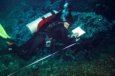Pesquisadora Julia registrando a biodiversidade de peixes utilizando a metodologia de Censo Visual Subaquático.