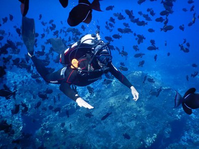 Joca Thomé em mergulho de censo.