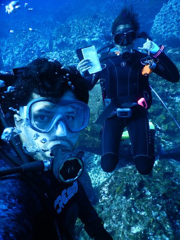 Pesquisadores em mergulho de censo com prancheta em mãos.