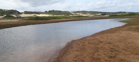 REBIO Santa Isabel/SE e rica biodiversidade.