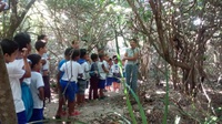 Semana do Meio Ambiente no Centro TAMAR/ICMBio garante interação com público