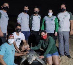 Servidores do TAMAR e do NGI ICMBio no Salgado Paraense