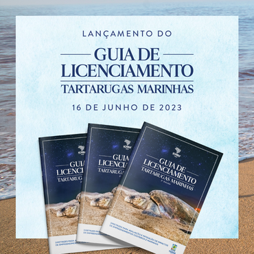Arte Guia de Licenciamento - Tartarugas Marinhas 2a Edição (Dillo Tenório)