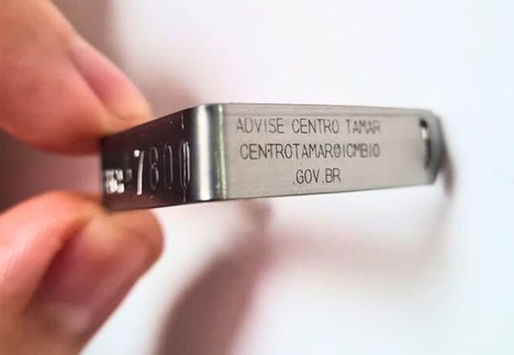 Modelo de uma marca do Banco do Centro TAMAR/ICMBio.