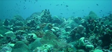 Capa_MontesOceanicos