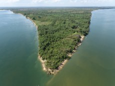 Área de Proteção Ambiental e Monumento Natural do Bico do Papagaio