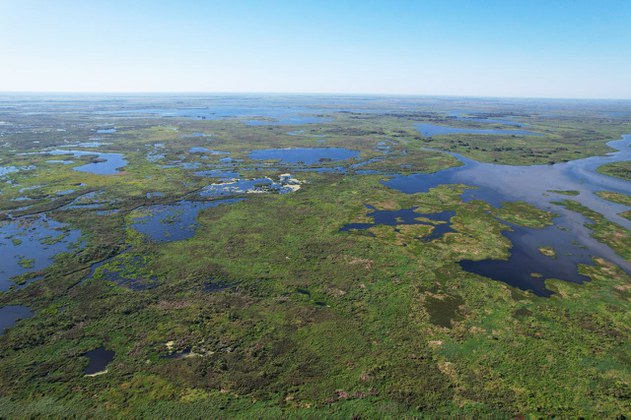 Estação Ecologica do Taiamã Capa
