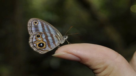 Foto - Camila Moura Lemke