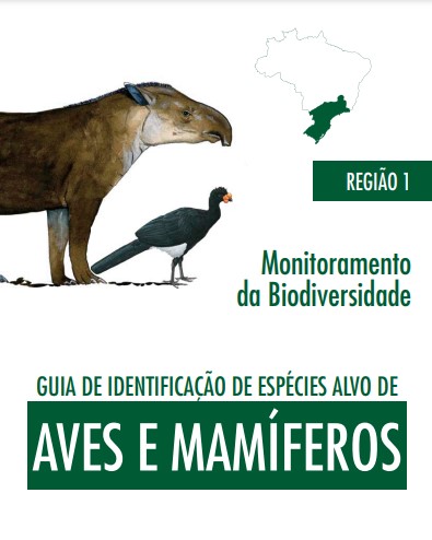 Imagem de uma anta e uma ave e o mapa do Brasil com a região sul em destaque
