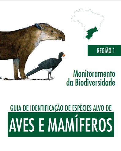 Imagem de uma anta e uma ave e o mapa do Brasil com a região sul em destaque