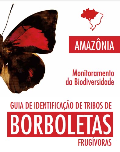 Imagem parcial de uma borboleta e o mapa do Brasil com o bioma amazônia em destaque