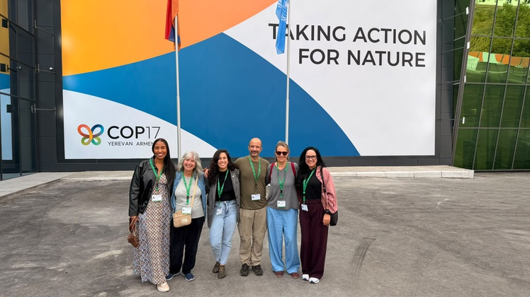 COP17