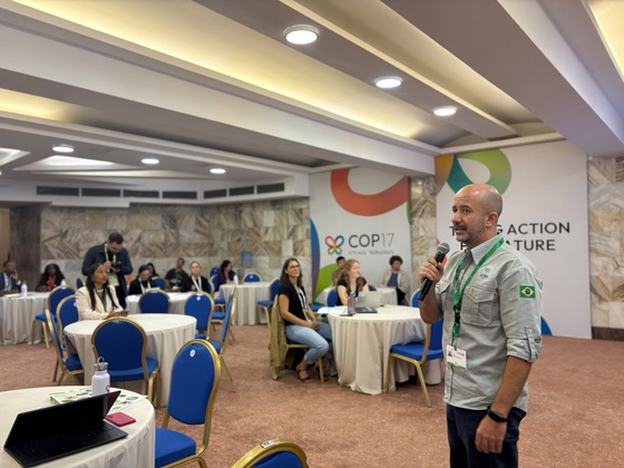 COP17