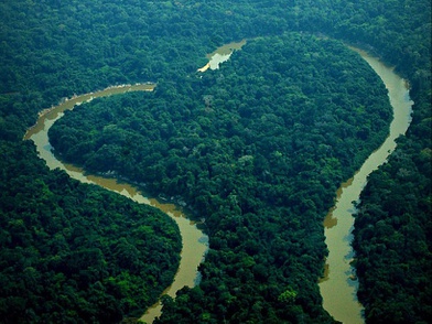 O ICMBio gerencia cerca de 150 unidades de conservação federais na Amazônia. Foto: Mônia Fernandes/ICMBio