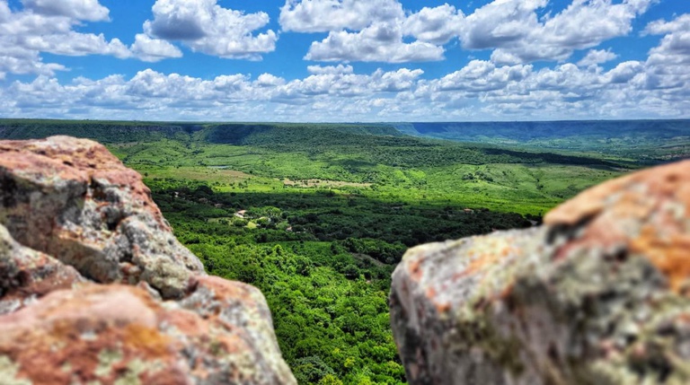 APA vista do Mirante das Tabocas. Foto: Flávio Domingos