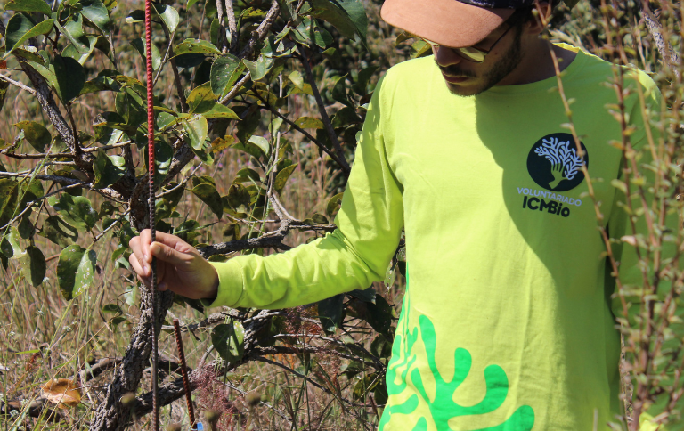 Voluntariado_Flona de Brasília_ Camila Saldanha SITE.png