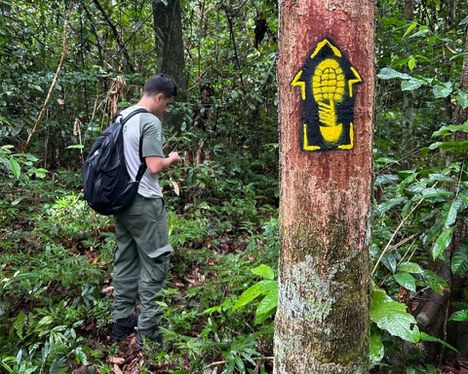 Foto: Fernando Maia/NGI Chico Mendes 