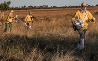 Ações de prevenção de incêndio protegem parques nacionais do Cerrado