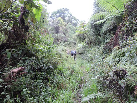 Foto: Acervo Parna da Serra do Itajaí