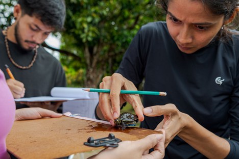 Foto: Miguel Monteiro/Instituto Mamirauá