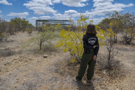 Fiscal do ICMBio observa um dos recintos do criadouro - Foto: Miguel Monteiro