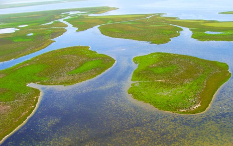 Parque Nacional da Lagoa do Peixe (RS) - Foto: Divulgação/ICMBio